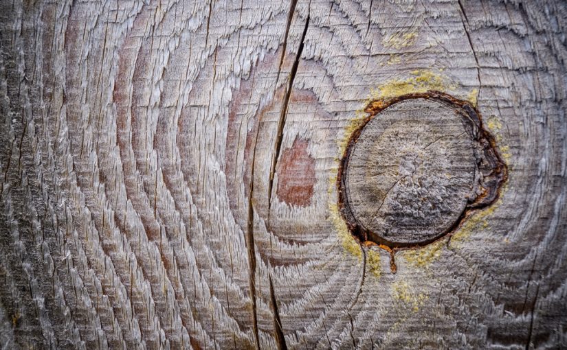 Tartak – Źródło Wyjątkowego Materiału Drzewnego: Buduj Z Pasją i Wytrzymałością.
